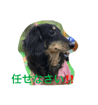 空さん（個別スタンプ：2）
