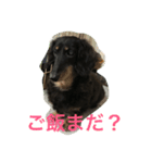 空さん（個別スタンプ：5）
