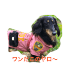 空さん（個別スタンプ：7）