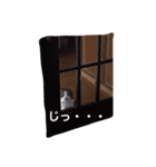 ダイアナちゃん♡（個別スタンプ：13）