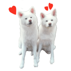 [LINEスタンプ] 秋田犬みるとなな