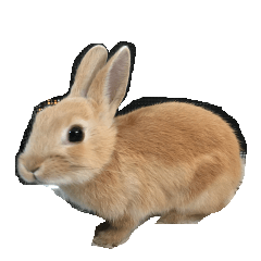 [LINEスタンプ] ウサギのミントちゃん