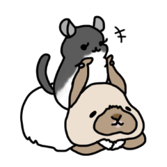 [LINEスタンプ] うさぎのぷくちゃん・チンチラのぷにちゃん