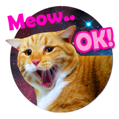 [LINEスタンプ] Meow Galaxy (English Version)の画像（メイン）