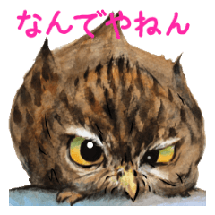 [LINEスタンプ] 水彩画ふくろう！個性的フクロウたちが一杯