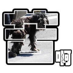 [LINEスタンプ] Sad Schnauzer