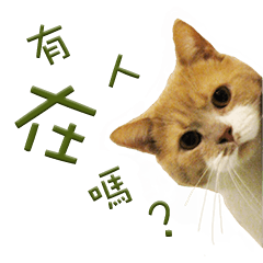 [LINEスタンプ] Sam Gor