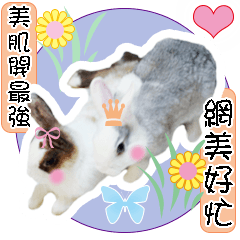 [LINEスタンプ] Two rabbit rounds