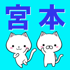 [LINEスタンプ] 超★宮本(みやもと・ミヤモト)なネコ