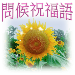 [LINEスタンプ] Flower Story (blessing greeting)