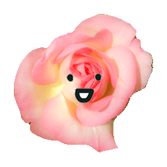 [LINEスタンプ] バラの花ですの画像（メイン）