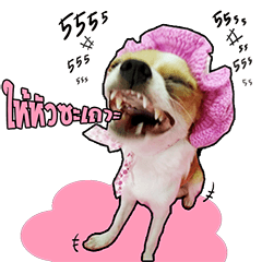 [LINEスタンプ] Puppy Munny