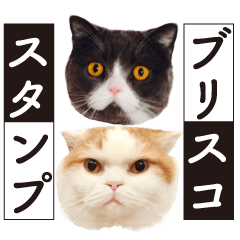 [LINEスタンプ] ブリスコスタンプ