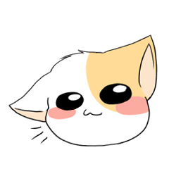 [LINEスタンプ] Cat Oh