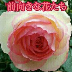 [LINEスタンプ] 前向きな花たち