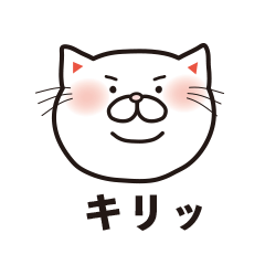 [LINEスタンプ] メッセンニャ〜もふ猫