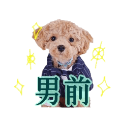 [LINEスタンプ] ハンサムモカの日常