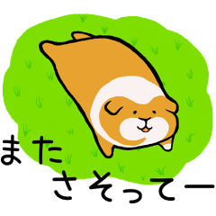 [LINEスタンプ] 暮らしに寄り添うモルモット2