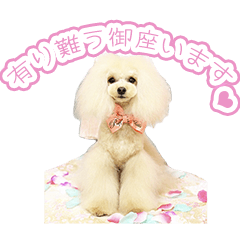 [LINEスタンプ] 愛犬ポッチ