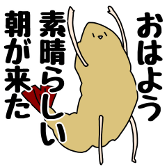 [LINEスタンプ] えびふらいスタンプ