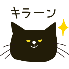 [LINEスタンプ] いろいろねこちゃん2