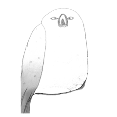 [LINEスタンプ] クールなトリたち、そしてネコ