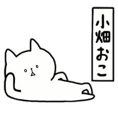 [LINEスタンプ] 全国の【小畑】さんのためのスタンプ