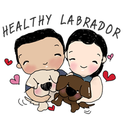 [LINEスタンプ] HEALTHY LABRADOR