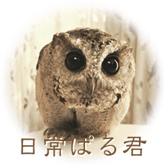 [LINEスタンプ] 日常ぱる君（ふくろう）