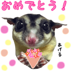 [LINEスタンプ] フクロモモンガのぱんち②の画像（メイン）