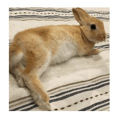 [LINEスタンプ] うさぎのミント 2nd