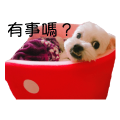 [LINEスタンプ] TwoPuppy.