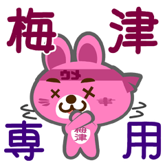 [LINEスタンプ] 「梅津」さん専用スタンプ