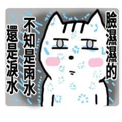 [LINEスタンプ] chao hu cat part10