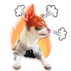 [LINEスタンプ] Salim the Funny Dog