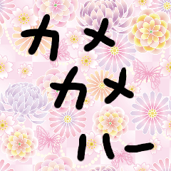 [LINEスタンプ] カメ