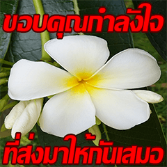 [LINEスタンプ] Plumeria of happiness cheer in factory