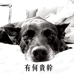 [LINEスタンプ] MARS-A DOG