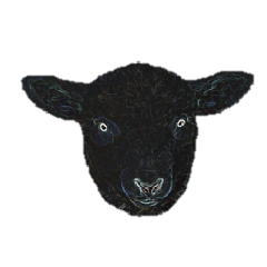 [LINEスタンプ] 40 stickers of sheep