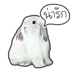 [LINEスタンプ] Frosty Bunnies