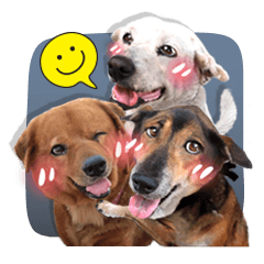 [LINEスタンプ] Dogs Leela(English ver.)