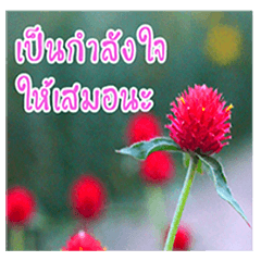 [LINEスタンプ] happy everyday for everyone.