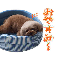 [LINEスタンプ] でいごスタンプ