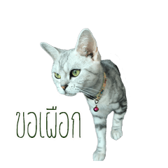 [LINEスタンプ] Dtualek