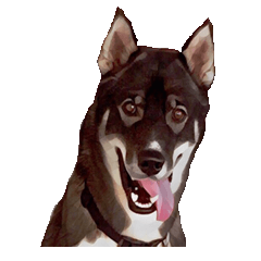 [LINEスタンプ] My Lucky dogs II