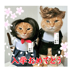 [LINEスタンプ] なりきり猫たちの季節のカード