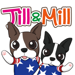 [LINEスタンプ] ボストンテリア Jill ＆ Mill