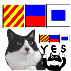 [LINEスタンプ] 猫が教える国際信号旗 実写版1.1