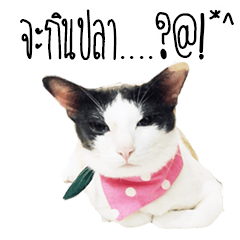[LINEスタンプ] maww a cat