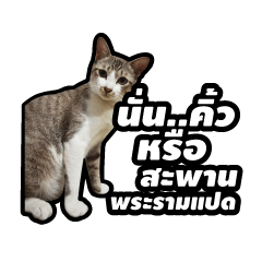 [LINEスタンプ] Gangster Manote